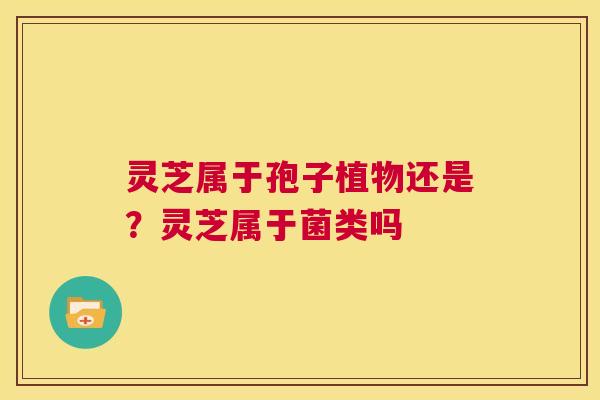 灵芝属于孢子植物还是?灵芝属于菌类吗 第1张 灵芝属于孢子植物还是?灵芝属于菌类吗 第1张