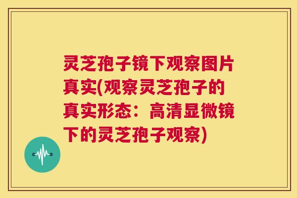 灵芝孢子镜下观察图片真实(观察灵芝孢子的真实形态:高清显微镜下的灵芝孢子观察) 第1张 灵芝孢子镜下观察图片真实(观察灵芝孢子的真实形态:高清显微镜下的灵芝孢子观察) 第1张