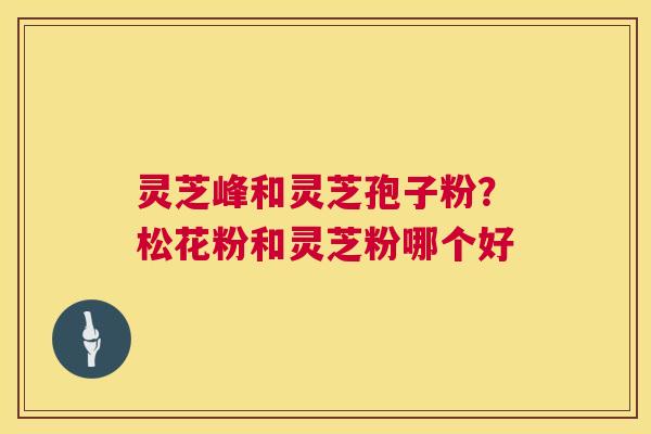 灵芝峰和灵芝孢子粉?松花粉和灵芝粉哪个好 第1张 灵芝峰和灵芝孢子粉?松花粉和灵芝粉哪个好 第1张