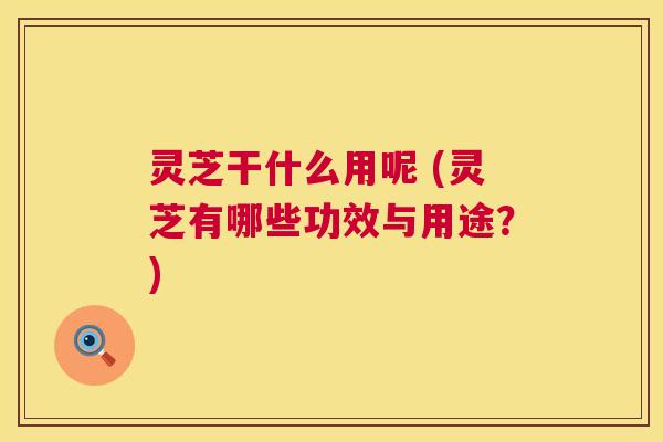 灵芝干什么用呢 (灵芝有哪些功效与用途?) 第1张 灵芝干什么用呢 (灵芝有哪些功效与用途?) 第1张