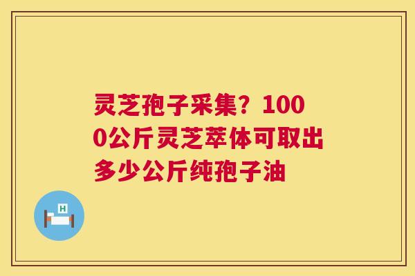 灵芝孢子采集?1000公斤灵芝萃体可取出多少公斤纯孢子油 第1张 灵芝孢子采集?1000公斤灵芝萃体可取出多少公斤纯孢子油 第1张