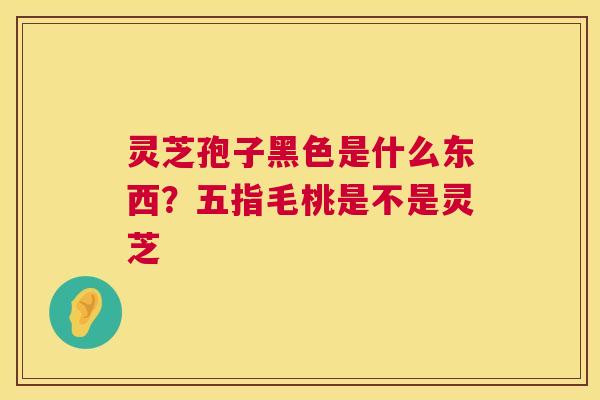 灵芝孢子黑色是什么东西?五指毛桃是不是灵芝 第1张 灵芝孢子黑色是什么东西?五指毛桃是不是灵芝 第1张