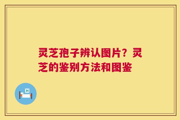 灵芝孢子辨认图片？灵芝的鉴别方法和图鉴  第1张
