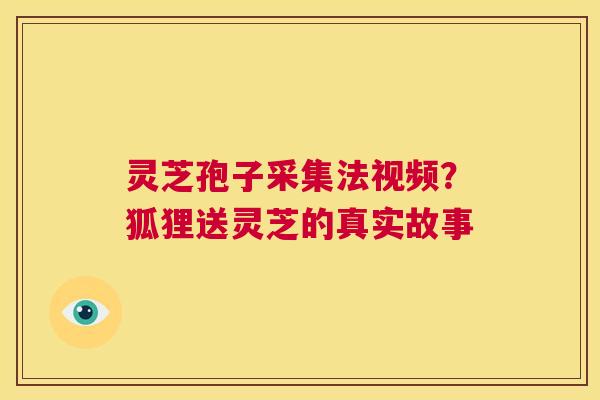 灵芝孢子采集法视频?狐狸送灵芝的真实故事 第1张 灵芝孢子采集法视频?狐狸送灵芝的真实故事 第1张