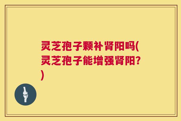 灵芝孢子颗补肾阳吗(灵芝孢子能增强肾阳?) 第1张 灵芝孢子颗补肾阳吗(灵芝孢子能增强肾阳?) 第1张