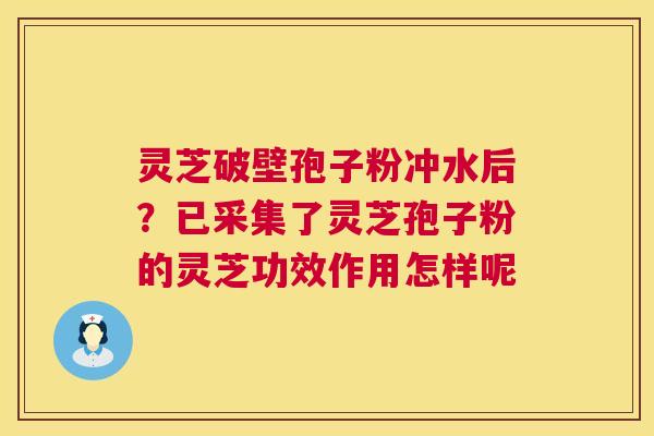 灵芝破壁孢子粉冲水后?已采集了灵芝孢子粉的灵芝功效作用怎样呢 第1张 灵芝破壁孢子粉冲水后?已采集了灵芝孢子粉的灵芝功效作用怎样呢 第1张