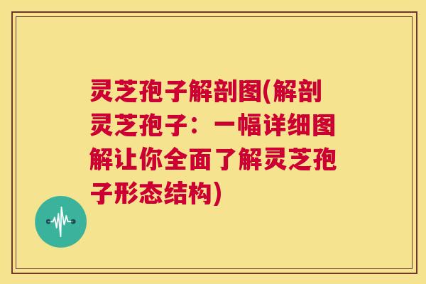 灵芝孢子解剖图(解剖灵芝孢子:一幅详细图解让你全面了解灵芝孢子形态结构) 第1张 灵芝孢子解剖图(解剖灵芝孢子:一幅详细图解让你全面了解灵芝孢子形态结构) 第1张