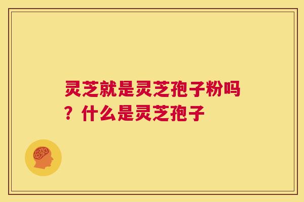 灵芝就是灵芝孢子粉吗?什么是灵芝孢子 第1张 灵芝就是灵芝孢子粉吗?什么是灵芝孢子 第1张