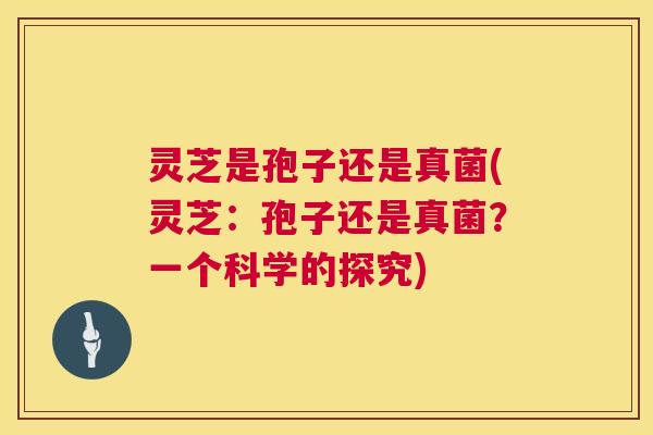 灵芝是孢子还是真菌(灵芝:孢子还是真菌?一个科学的探究) 第1张 灵芝是孢子还是真菌(灵芝:孢子还是真菌?一个科学的探究) 第1张