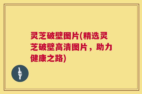 灵芝破壁图片(精选灵芝破壁高清图片,助力健康之路) 第1张 灵芝破壁图片(精选灵芝破壁高清图片,助力健康之路) 第1张