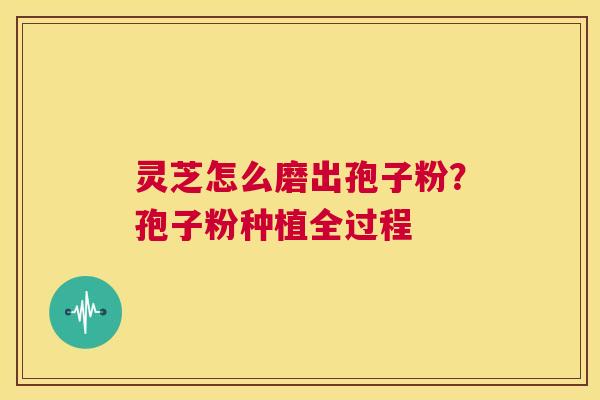 灵芝怎么磨出孢子粉?孢子粉种植全过程 第1张 灵芝怎么磨出孢子粉?孢子粉种植全过程 第1张