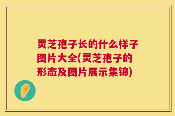 灵芝孢子长的什么样子图片大全(灵芝孢子的形态及图片展示集锦)  第1张