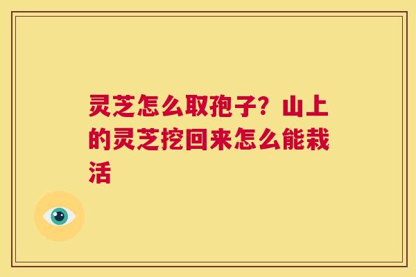 灵芝怎么取孢子？山上的灵芝挖回来怎么能栽活  第1张