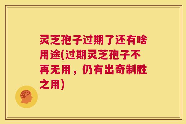 灵芝孢子过期了还有啥用途(过期灵芝孢子不再无用,仍有出奇制胜之用) 第1张 灵芝孢子过期了还有啥用途(过期灵芝孢子不再无用,仍有出奇制胜之用) 第1张