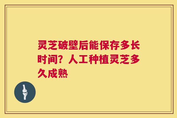 灵芝破壁后能保存多长时间？人工种植灵芝多久成熟  第1张