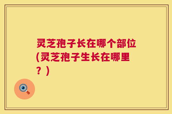 灵芝孢子长在哪个部位(灵芝孢子生长在哪里？)  第1张