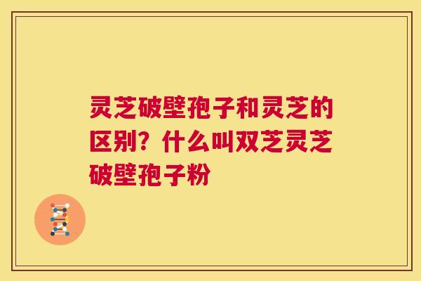 灵芝破壁孢子和灵芝的区别?什么叫双芝灵芝破壁孢子粉 第1张 灵芝破壁孢子和灵芝的区别?什么叫双芝灵芝破壁孢子粉 第1张