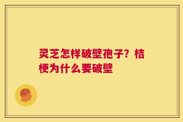 灵芝怎样破壁孢子?桔梗为什么要破壁 第1张 灵芝怎样破壁孢子?桔梗为什么要破壁 第1张