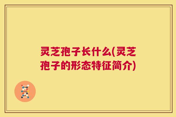 灵芝孢子长什么(灵芝孢子的形态特征简介) 第1张 灵芝孢子长什么(灵芝孢子的形态特征简介) 第1张