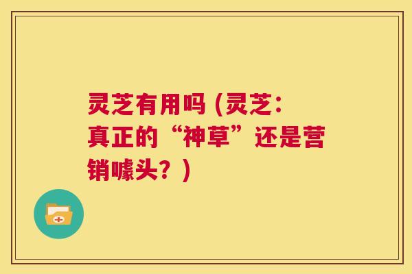 灵芝有用吗 (灵芝:真正的“神草”还是营销噱头?) 第1张 灵芝有用吗 (灵芝:真正的“神草”还是营销噱头?) 第1张