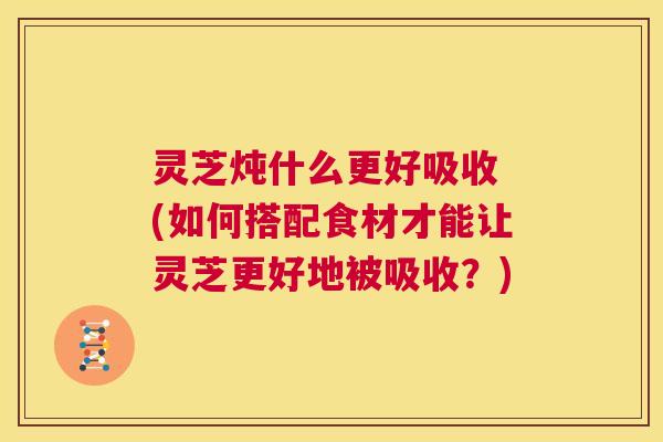 灵芝炖什么更好吸收 (如何搭配食材才能让灵芝更好地被吸收?) 第1张 灵芝炖什么更好吸收 (如何搭配食材才能让灵芝更好地被吸收?) 第1张