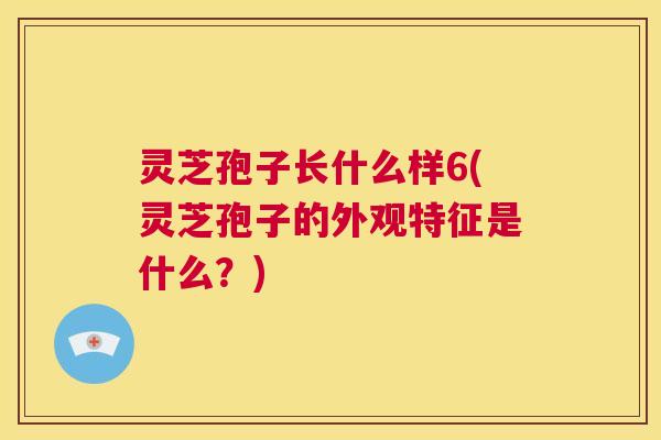 灵芝孢子长什么样6(灵芝孢子的外观特征是什么?) 第1张 灵芝孢子长什么样6(灵芝孢子的外观特征是什么?) 第1张