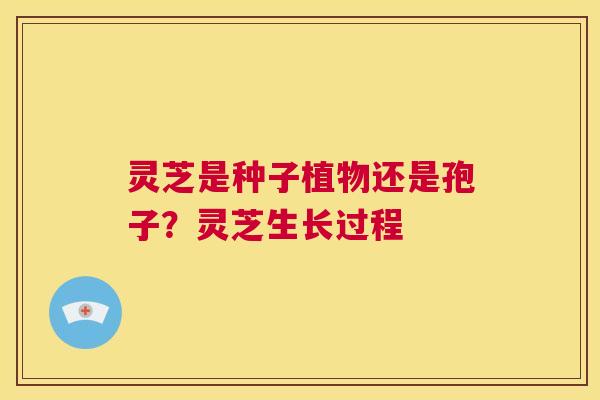 灵芝是种子植物还是孢子?灵芝生长过程 第1张 灵芝是种子植物还是孢子?灵芝生长过程 第1张