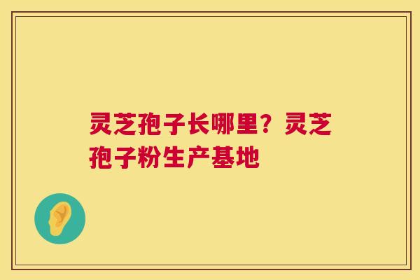 灵芝孢子长哪里?灵芝孢子粉生产基地 第1张 灵芝孢子长哪里?灵芝孢子粉生产基地 第1张