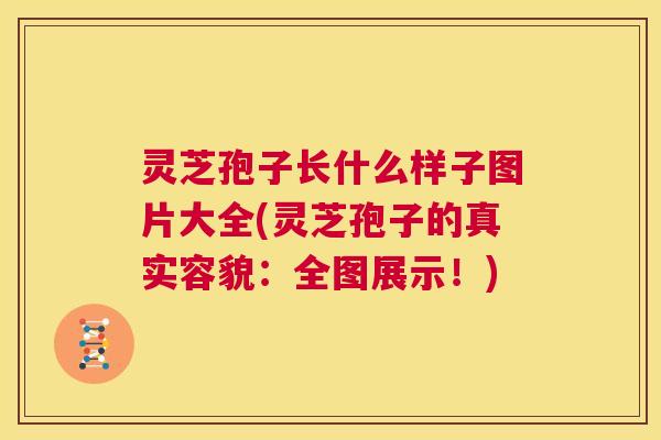 灵芝孢子长什么样子图片大全(灵芝孢子的真实容貌：全图展示！)  第1张