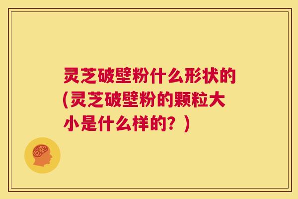 灵芝破壁粉什么形状的(灵芝破壁粉的颗粒大小是什么样的?) 第1张 灵芝破壁粉什么形状的(灵芝破壁粉的颗粒大小是什么样的?) 第1张
