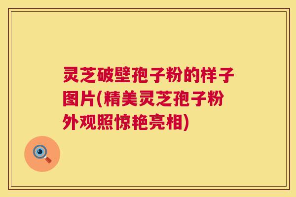 灵芝破壁孢子粉的样子图片(精美灵芝孢子粉外观照惊艳亮相)  第1张