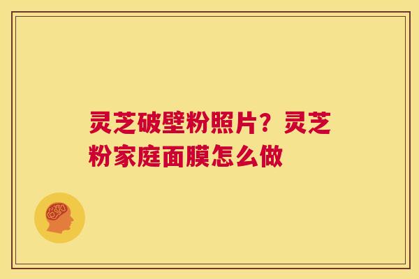 灵芝破壁粉照片?灵芝粉家庭面膜怎么做 第1张 灵芝破壁粉照片?灵芝粉家庭面膜怎么做 第1张
