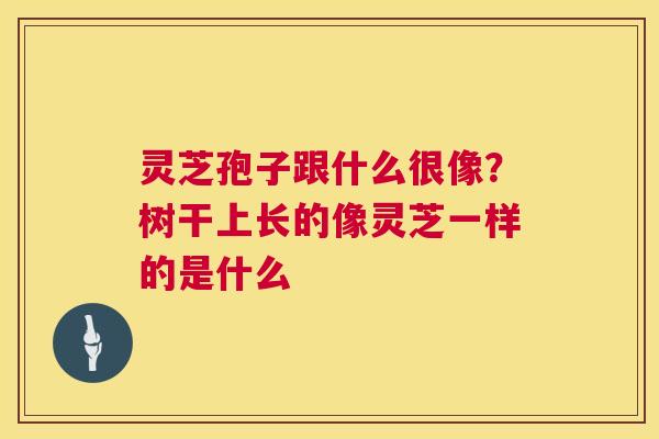 灵芝孢子跟什么很像？树干上长的像灵芝一样的是什么  第1张