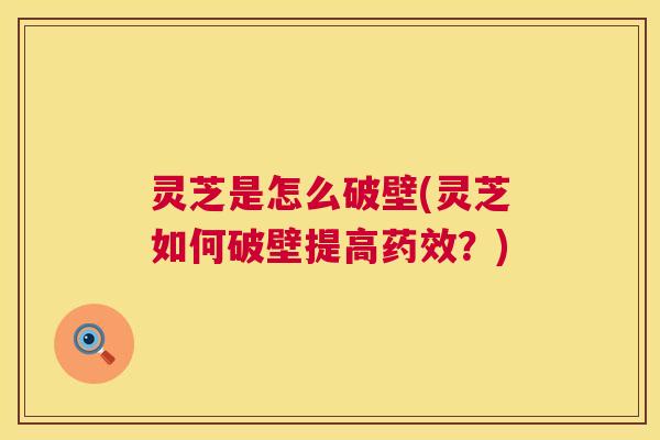灵芝是怎么破壁(灵芝如何破壁提高药效?) 第1张 灵芝是怎么破壁(灵芝如何破壁提高药效?) 第1张