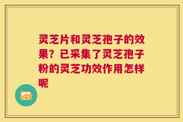 灵芝片和灵芝孢子的效果?已采集了灵芝孢子粉的灵芝功效作用怎样呢 第1张 灵芝片和灵芝孢子的效果?已采集了灵芝孢子粉的灵芝功效作用怎样呢 第1张