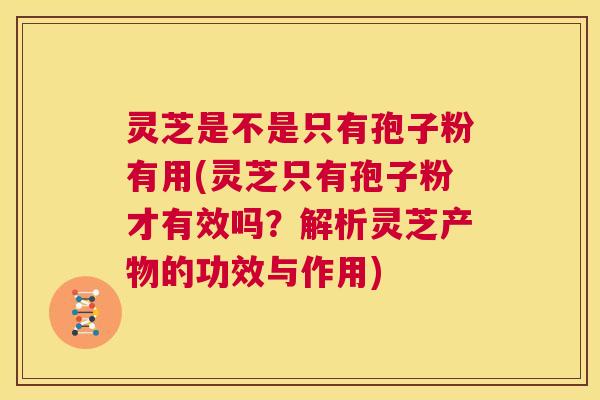 灵芝是不是只有孢子粉有用(灵芝只有孢子粉才有效吗?解析灵芝产物的功效与作用) 第1张 灵芝是不是只有孢子粉有用(灵芝只有孢子粉才有效吗?解析灵芝产物的功效与作用) 第1张