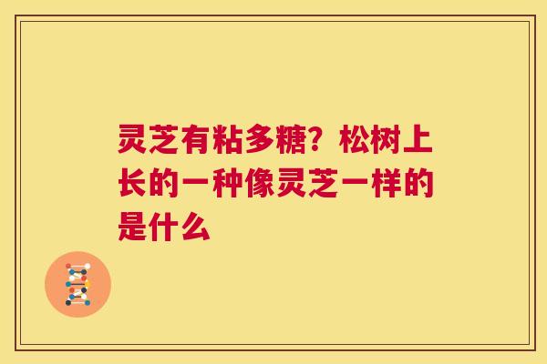 灵芝有粘多糖?松树上长的一种像灵芝一样的是什么 第1张 灵芝有粘多糖?松树上长的一种像灵芝一样的是什么 第1张