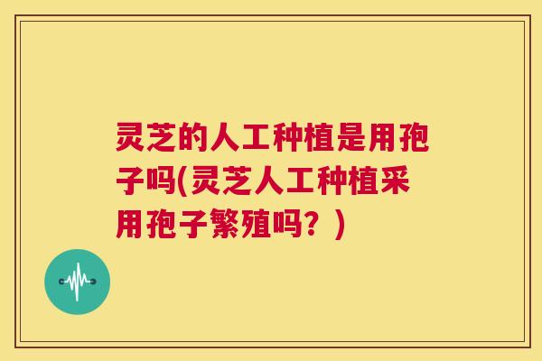 灵芝的人工种植是用孢子吗(灵芝人工种植采用孢子繁殖吗?) 第1张 灵芝的人工种植是用孢子吗(灵芝人工种植采用孢子繁殖吗?) 第1张