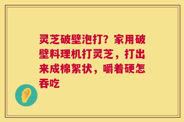 灵芝破壁泡打？家用破壁料理机打灵芝，打出来成棉絮状，嚼着硬怎吞吃  第1张