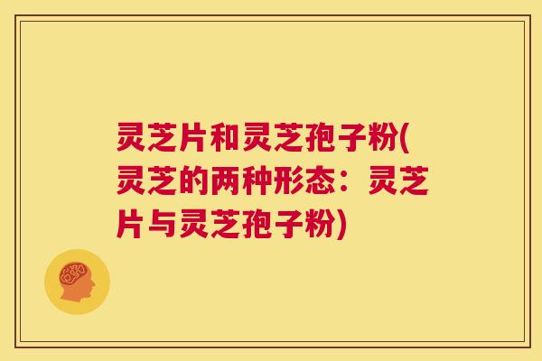 灵芝片和灵芝孢子粉(灵芝的两种形态：灵芝片与灵芝孢子粉)  第1张
