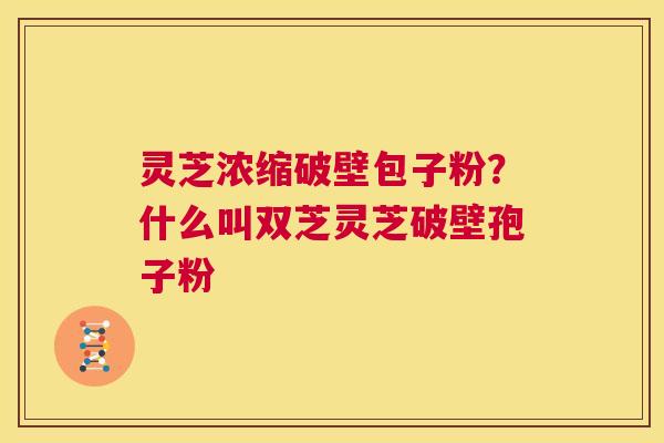 灵芝浓缩破壁包子粉?什么叫双芝灵芝破壁孢子粉 第1张 灵芝浓缩破壁包子粉?什么叫双芝灵芝破壁孢子粉 第1张