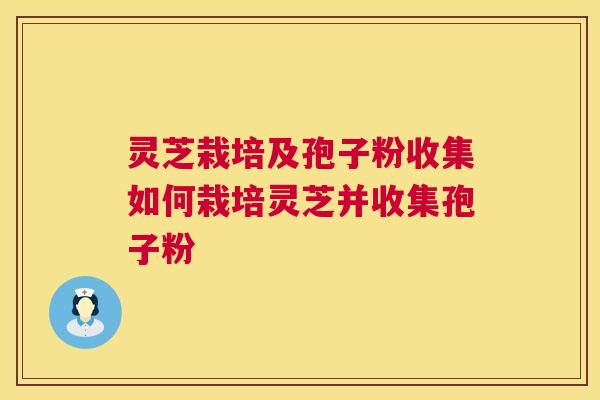 灵芝栽培及孢子粉收集如何栽培灵芝并收集孢子粉 第1张 灵芝栽培及孢子粉收集如何栽培灵芝并收集孢子粉 第1张