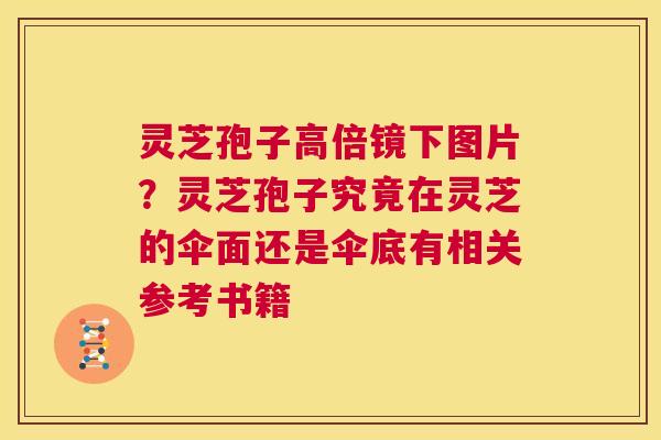 灵芝孢子高倍镜下图片？灵芝孢子究竟在灵芝的伞面还是伞底有相关参考书籍  第1张