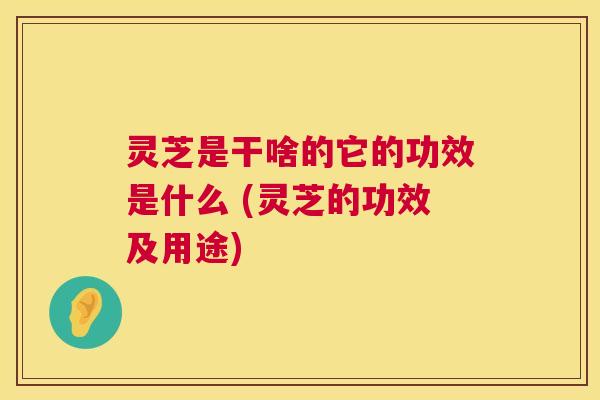 灵芝是干啥的它的功效是什么 (灵芝的功效及用途) 第1张 灵芝是干啥的它的功效是什么 (灵芝的功效及用途) 第1张