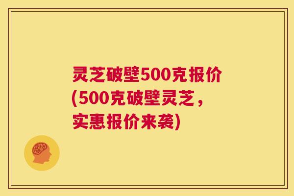 灵芝破壁500克报价(500克破壁灵芝,实惠报价来袭) 第1张 灵芝破壁500克报价(500克破壁灵芝,实惠报价来袭) 第1张