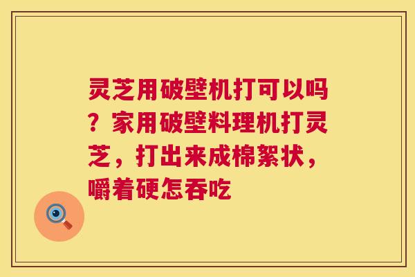 灵芝用破壁机打可以吗?家用破壁料理机打灵芝,打出来成棉絮状,嚼着硬怎吞吃 第1张 灵芝用破壁机打可以吗?家用破壁料理机打灵芝,打出来成棉絮状,嚼着硬怎吞吃 第1张