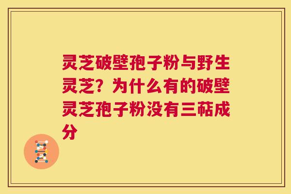 灵芝破壁孢子粉与野生灵芝?为什么有的破壁灵芝孢子粉没有三萜成分 第1张 灵芝破壁孢子粉与野生灵芝?为什么有的破壁灵芝孢子粉没有三萜成分 第1张