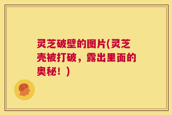灵芝破壁的图片(灵芝壳被打破,露出里面的奥秘!) 第1张 灵芝破壁的图片(灵芝壳被打破,露出里面的奥秘!) 第1张