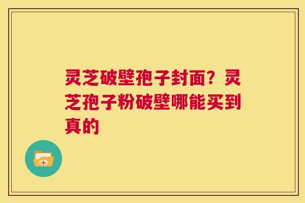 灵芝破壁孢子封面?灵芝孢子粉破壁哪能买到真的 第1张 灵芝破壁孢子封面?灵芝孢子粉破壁哪能买到真的 第1张