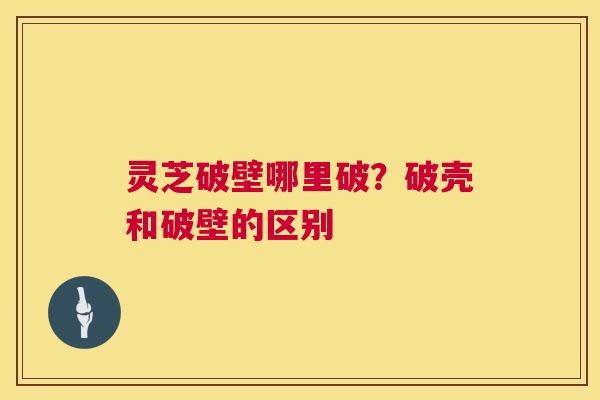 灵芝破壁哪里破?破壳和破壁的区别 第1张 灵芝破壁哪里破?破壳和破壁的区别 第1张